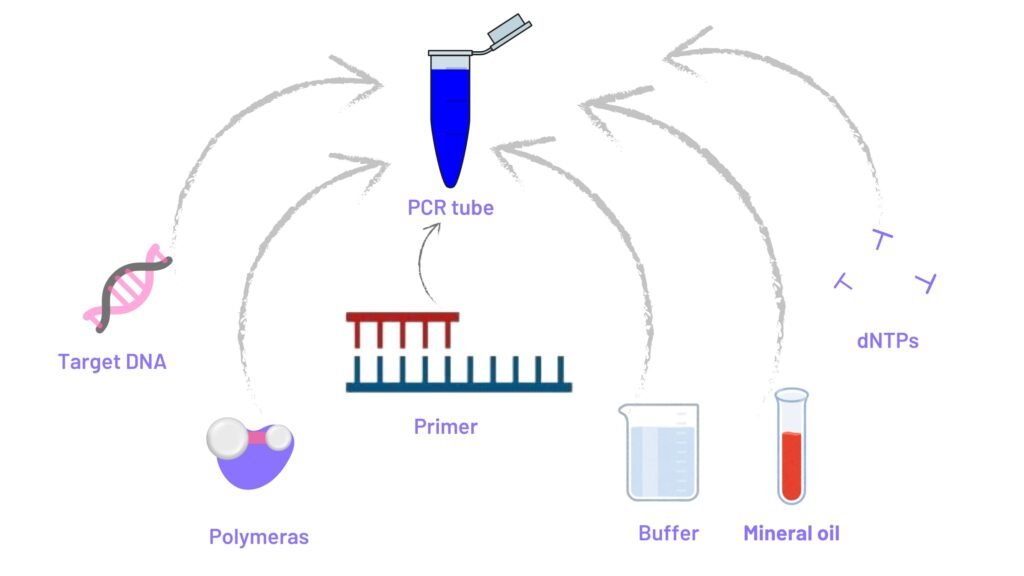 Components must use for PCR method